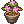 Nazwa:  Fiołek doniczkowy.png
Wyświetleń: 3827
Rozmiar:  1.4 KB