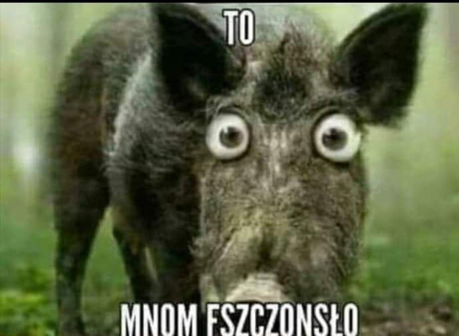 Nazwa:  obraz_2022-02-18_192624.png
Wyświetleń: 1395
Rozmiar:  491.2 KB