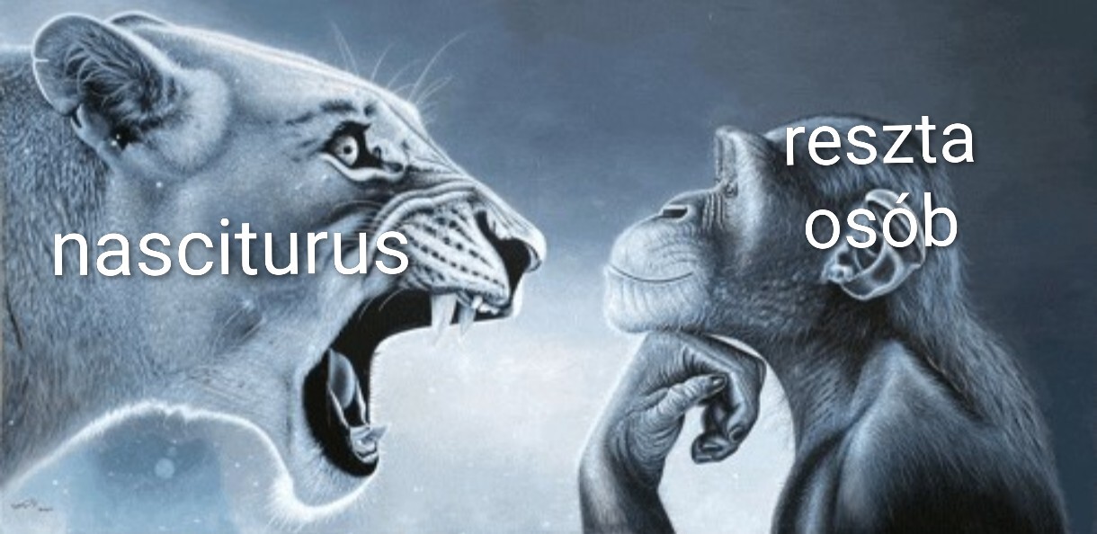 Nazwa:  Screenshot_20260201-103724.Zdjęcia_2.jpeg
Wyświetleń: 57
Rozmiar:  131.4 KB