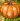 Nazwa:  2017-11-03_19h48_36.png
Wyświetleń: 4525
Rozmiar:  1.2 KB