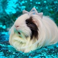 Avatar Piggy Princess