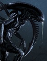 Avatar Alien